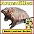Armadillo! Basic Learning About Armadillos - Basic Learner Series! Childen's Animal Book (Over 46+ Photos of Armadillos)