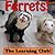 Ferrets! Learn About Ferrets And Learn To Read - The Learning Club! (45+ Photos of Ferrets)