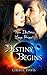 Destiny Begins (The Twin De...