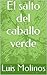 El salto del Caballo Verde (Spanish Edition)