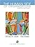 The Human Side of Organizations by Michael Drafke
