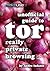 Really Private Browsing: An Unofficial User’s Guide to Tor