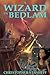 A Wizard in Bedlam (Rogue Wizard, #3)