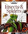 Insects & Spiders (Nature Company Discoveries Libraries)