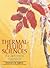 Thermal-Fluid Sciences: An ...