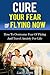 Cure Your Fear of Flying Now. How to Overcome Fear of Flying And Travel Anxiety For Life. (Fear of flying, Overcome fear, Fearless, Fear nothing, Flying, ... Phobia, Phobia free, Phobias and fears)