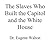 The Slaves Who Built the White House and the Capitol