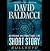 Bullseye (Will Robie, #2.5)