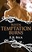 When Temptation Burns (The Shadow Keepers, #6)