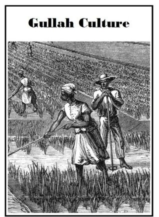 Gullah Culture: 1670 to 1950 (Kindle Edition)