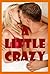 A Little Crazy: Five Hardcore Sex Explicit Erotica Stories