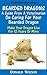 Bearded Dragons : A Guide From A Veterinarian On Caring For Your Bearded Dragon How To Make Your Dragon Live For 12 Years Or More