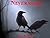 NEVERMORE (A Meg Ravenhill ...