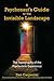 A Psychonaut's Guide to the Invisible Landscape: The Topography of the Psychedelic Experience