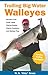 Trolling Big-Water Walleyes: Secrets of the Great Lakes Fishing Guides, Charter Captains, and Walleye Pros