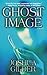 Ghost Image: A Novel