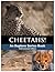 Cheetahs!: Fun Facts & Amazing Pictures: An Explore Series Book (Wild Animals)