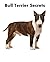 Bull Terrier Secrets: How t...