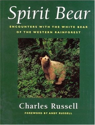 Spirit Bear: Encounters with the White Bear of the Western Rainforest (Paperback)