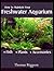 How to Maintain Your Freshwater Aquarium