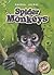 Spider Monkeys (Blastoff! Readers: Animal Safari)