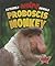 Proboscis Monkey (Extremely Weird Animals)
