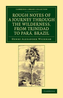 Rough Notes of a Journey through the Wilderness, from Trinidad to Pará, Brazil: By Way of the Great Cataracts of the Orinoco, Atabapo, and Rio Negro ... Library Collection - Botany and Horticulture)
