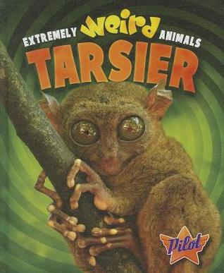 Tarsier (Extremely Weird Animals)