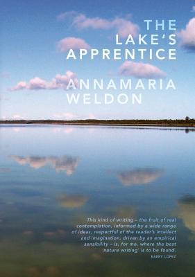 The Lake's Apprentice (Paperback)