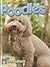 Let's Hear It For Poodles