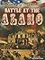 Battle At The Alamo Reader