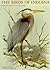 The Birds of Indiana