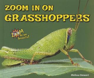 Zoom in on Grasshoppers (Zoom in on Insects!)
