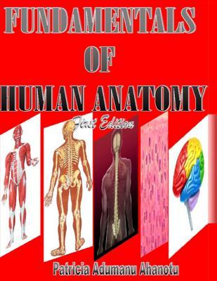 Fundamentals of Human Anatomy: A College Human Anatomy Textbook For Health-Care Professions