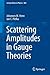 Scattering Amplitudes in Gauge Theories (Lecture Notes in Physics, 883)