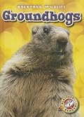 Groundhogs (Blastoff! Readers: Backyard Wildlife: Level 1