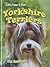 Let's Hear It For Yorkshire Terriers (Dog Applause)