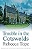 Trouble in the Cotswolds (Thea Osborne, #12)
