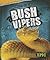Bush Vipers