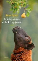 Een dag om aan de balk te spijkeren (Paperback)