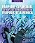 Empire of Funk: Hip Hop and...