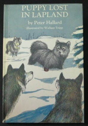 Puppy Lost in Lapland (Hardcover)