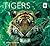 Tigers