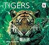 Tigers Tigers