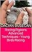 Racing Pigeons Advanced Tec...