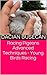 Racing Pigeons Advanced Techniques - Young Birds Racing by Dacian Busecan