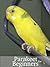 Parakeet for Beginners