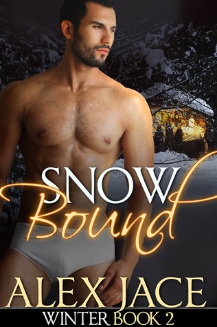 Snowbound (Winter, #2)