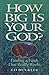 How Big Is Your God? Finding a Faith That Really Works by Ed Bulkley