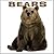 Bears: Pictures and facts a...